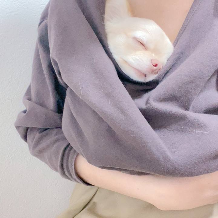 Cbb53aad 31d9 4e43 865f 24d97dfe054c 1615713966455