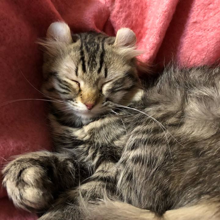 Cbb55a08 18c6 47c7 84c5 d1226ba6657d 1520952923782