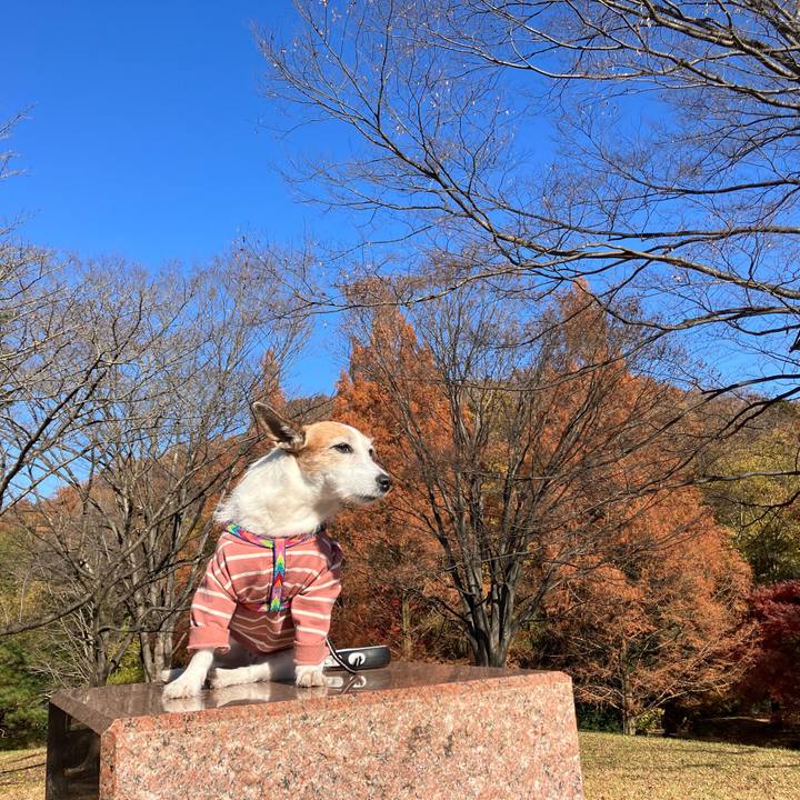 Cbb57148 1de7 4118 a772 8a1b760400b2 1702250679472