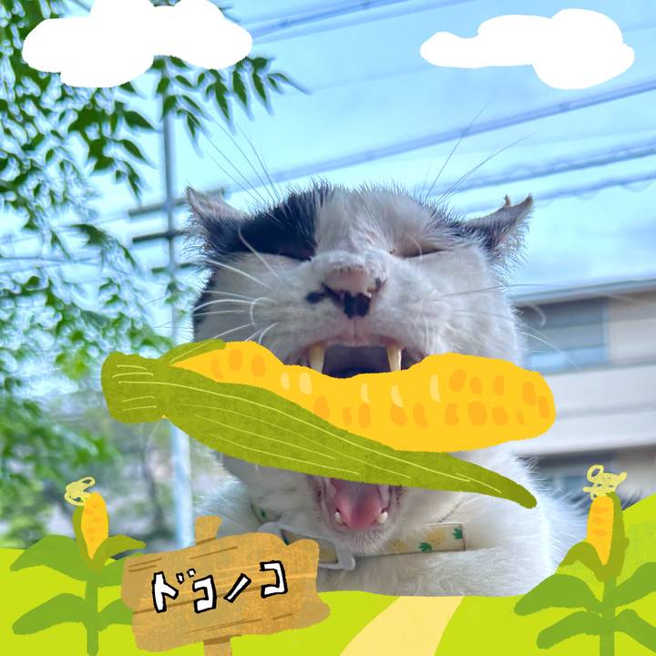 Cbb596e7 f12d 482b a3b0 ce7e0dca52a2 1786332726430