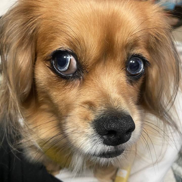 Cbb59935 b27b 432a 9aff 6b4109925fc3 1638222072262