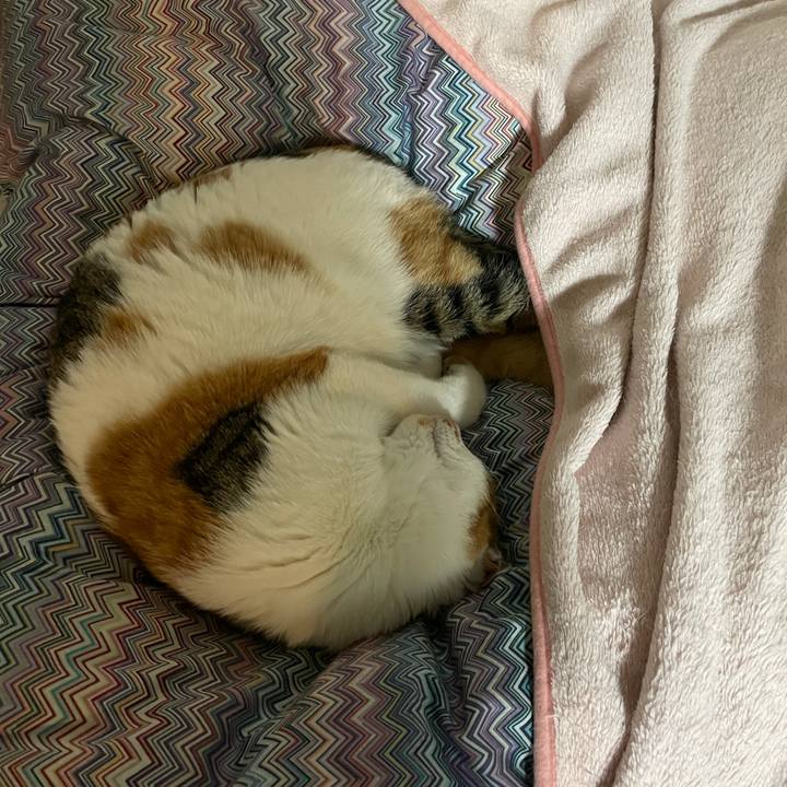 Cbb59b8b e6da 4b2f 8419 b532fd8a29b2 1608038243855