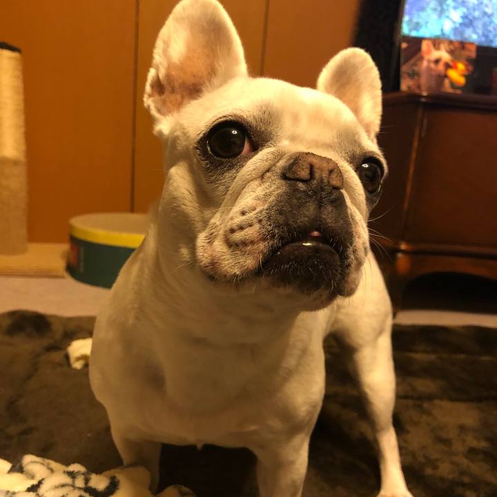 Cbb5a1b0 1d01 41e6 a0e7 e0c5dd10e4d2 1612958715657