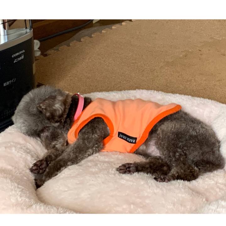 Cbb5a73a a123 4963 9d08 528b0b6c5396 1645684471878