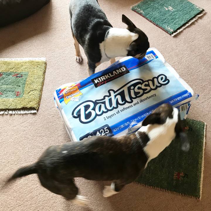 Cbb5e00b ddd8 48e3 a402 3cde4f206287 1516513177371