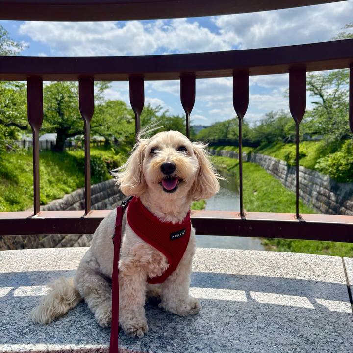 Cbb5fc81 9112 4e11 8ecc bacef7ff78dc 1777179843746