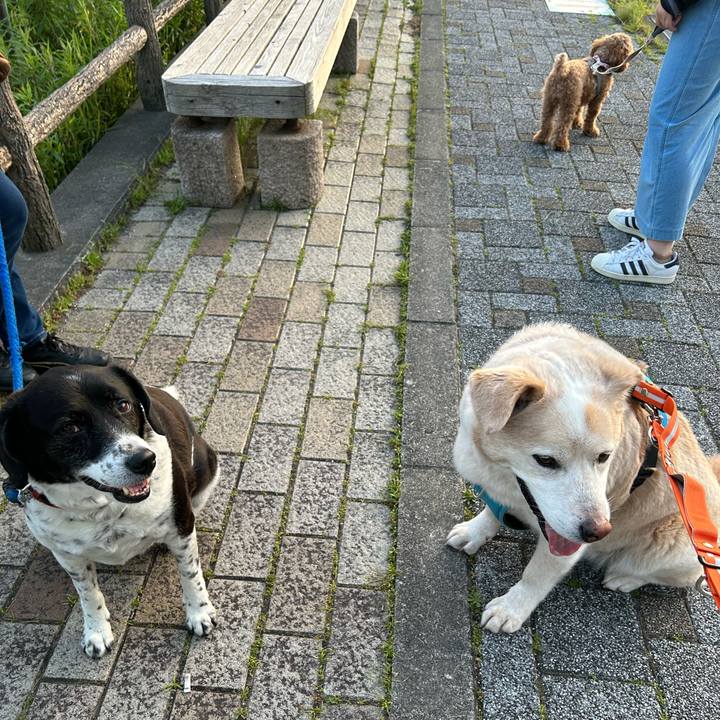 Cbb606e1 e633 4e66 8441 3d2d1db9e3fb 1683120520318