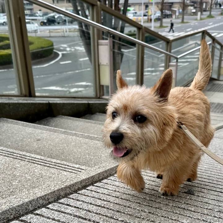 Cbb60826 8832 486c 98eb 10cb6a95e16c 1712106348556