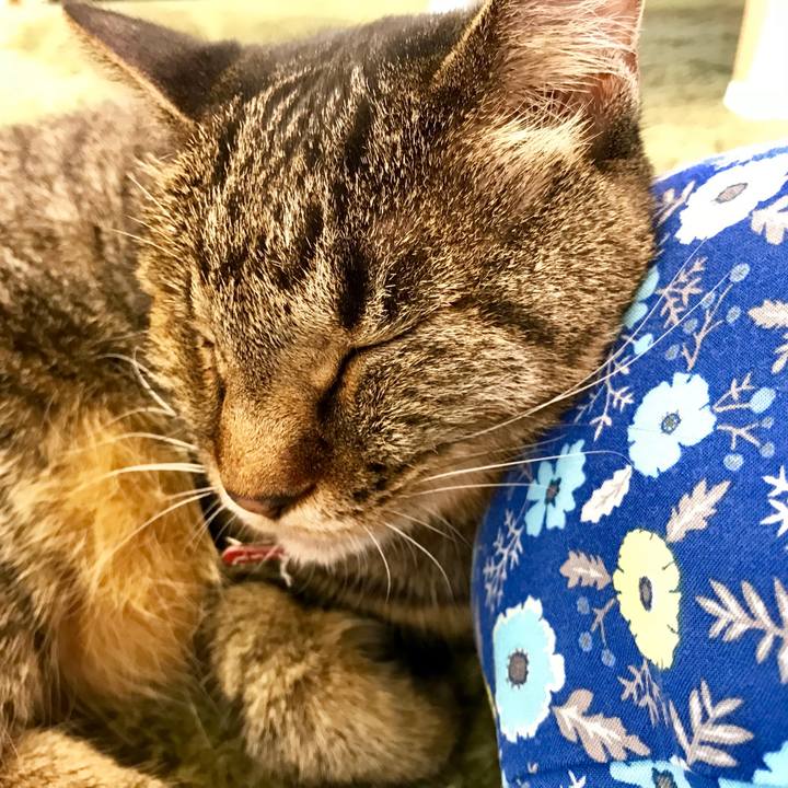 Cbb60fdf c38a 4d5d b429 8331f6e58aac 1534809623008