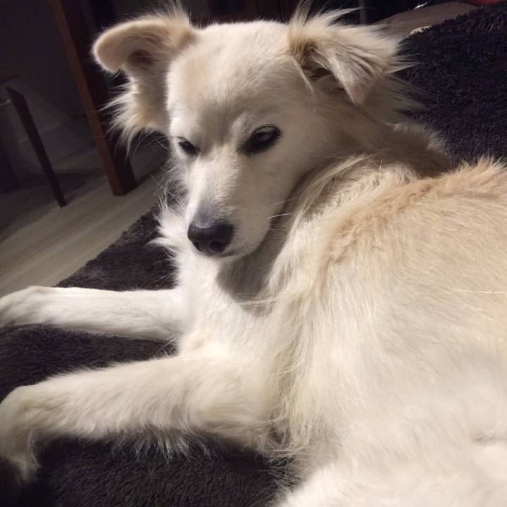 Cbb62197 9d94 4750 92f9 7c384844a694 1511514704550