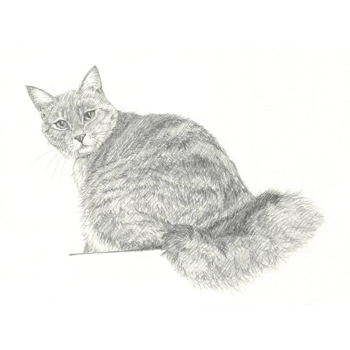 Cbb65717 8790 440c a253 5d097773a0ae 1541248347381