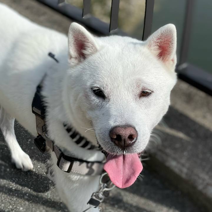 Cbb6c200 a3df 4478 b8dd f02b71697f66 1655943337643