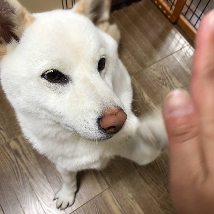 Cbb6e299 fecb 4156 8d51 3f595eeadacd 1528672893707