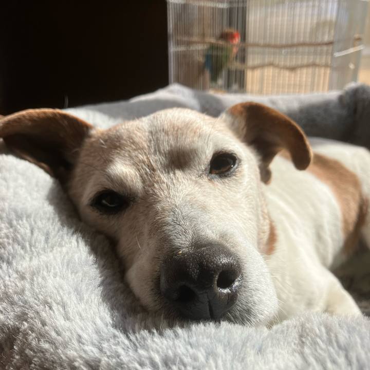 Cbb72427 4b51 44c1 adad ded9e927280e 1770349370620