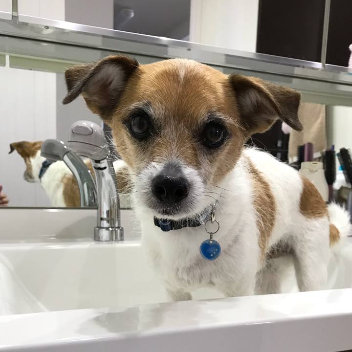 Cbb740f2 9579 4b26 9628 cbe08b2c9494 1554002196666