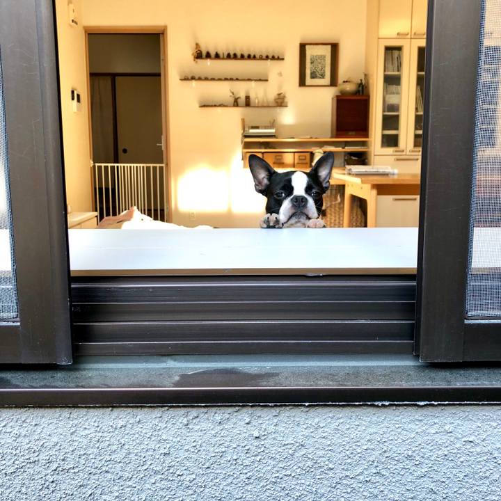 Cbb7a3d9 10ff 4bb0 9d57 2bcc7c98a019 1524350608223