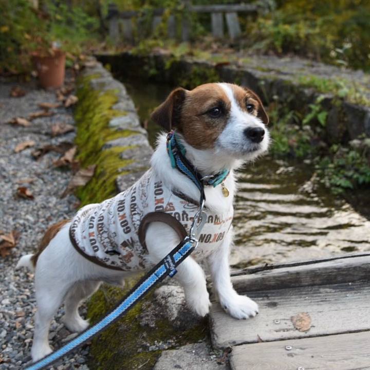 Cbb7b059 42ef 4ac7 bd2f 0013f0c53aef 1511184540508