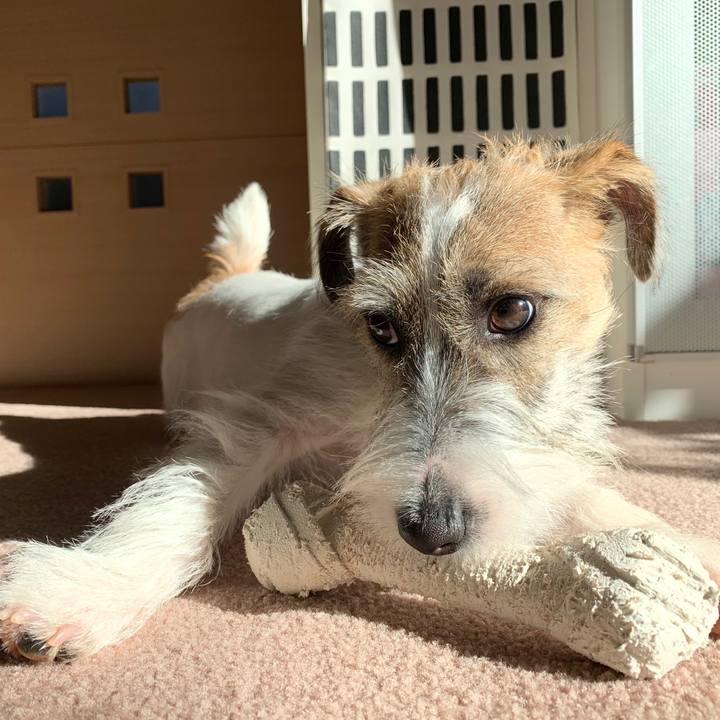 Cbb7b5a8 50e0 43ed bf5b 08c284495d1e 1575005899429