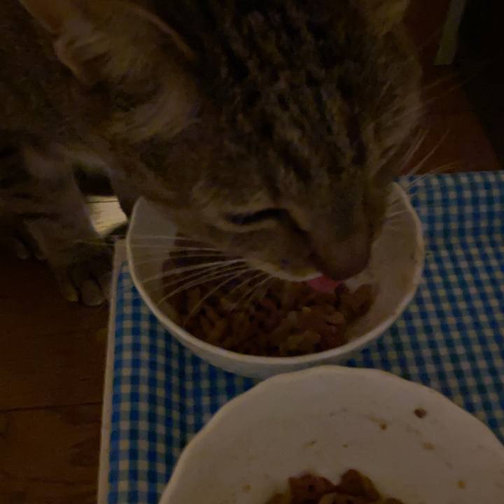 Cbb7bcd2 a7a1 4a42 acfd a6d60846837f 1609105249432