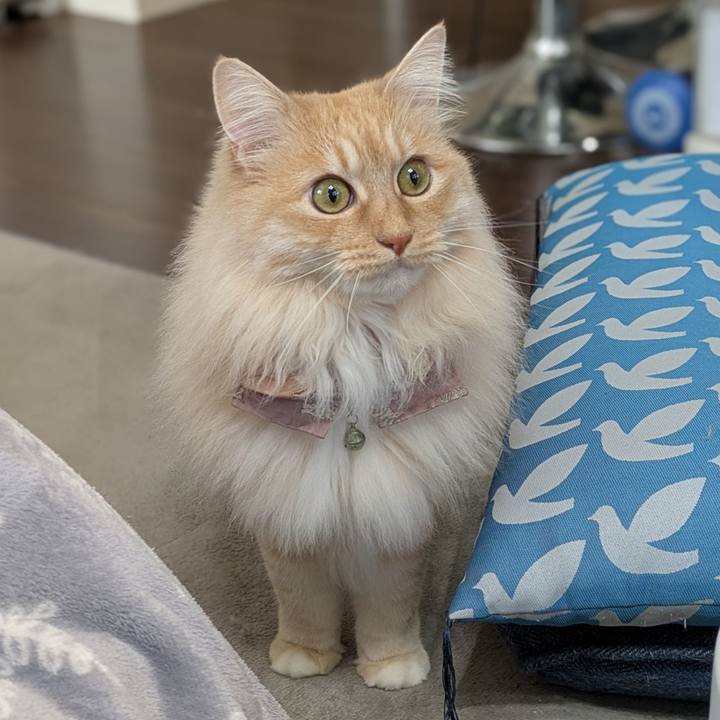 Cbb7cc37 3a0d 43fa a2b6 1b269ec80035 1744682153666