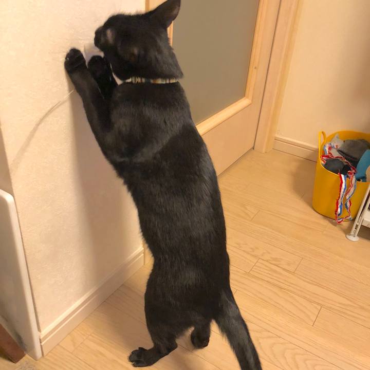 Cbb7d702 dc20 467c 9bac 9d0d50efa099 1519995234674