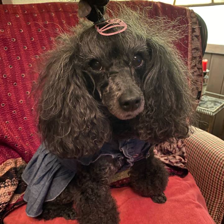 Cbb7e3f5 083c 4a3d aa9b 75b865f5cd88 1713276497246