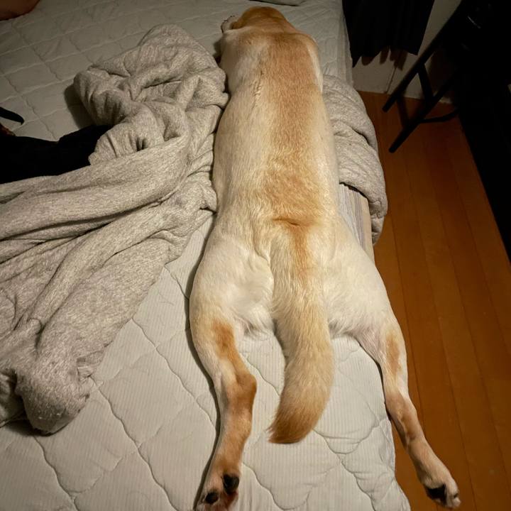 Cbb7fa87 5c6b 43bd b515 d01c10f6d3a7 1655338444635