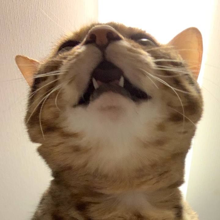 Cbb830f2 46e5 46a3 accd bca43c5bbec3 1572736151051