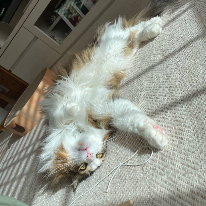 Cbb861ba 8b02 4429 80ed b6c69f2dcc96 1679725440400