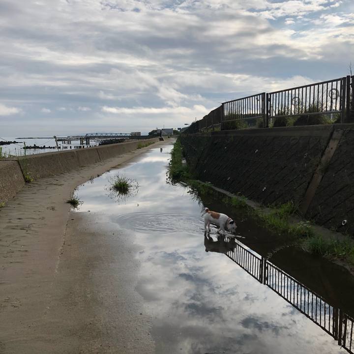 Cbb8c79f 3161 4400 9ecf d8ae4299eebb 1595806076918