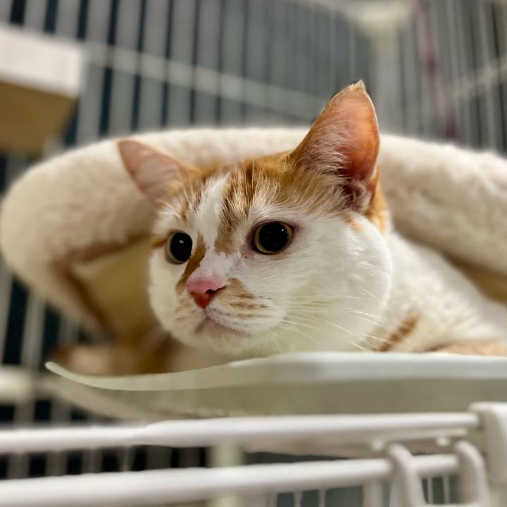 Cbb8e59a a57c 4034 92b6 8ab066e386a8 1757130867846