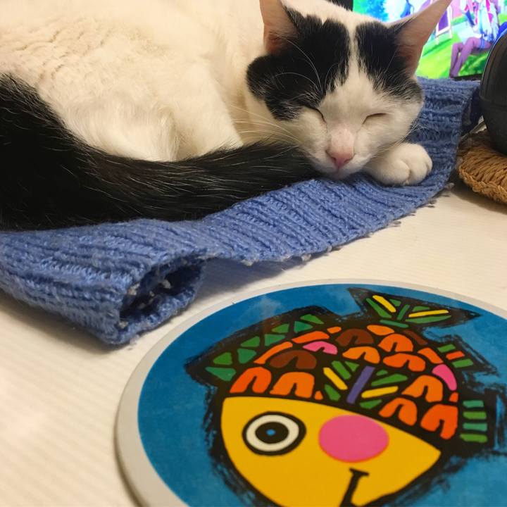 Cbb8ed21 8b6b 4515 982e 61c94ebf6c16 1578231309054