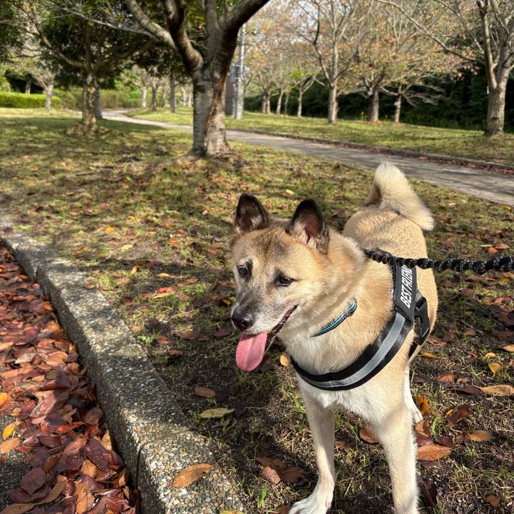 Cbb907aa a7f3 4f80 8e40 9e14dbc8143d 1760864451160