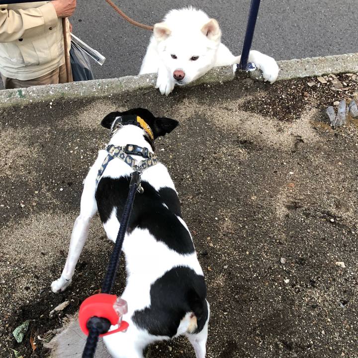 Cbb93b0c a571 41a6 b2e4 d48cca4fda74 1526373935072