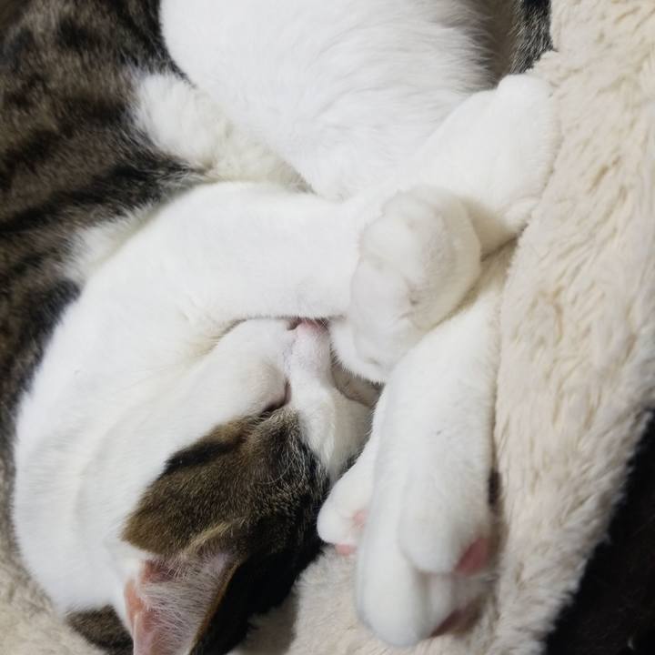 Cbb944b1 80c7 48de 8d41 8d1d74a9c6a0 1584480038569