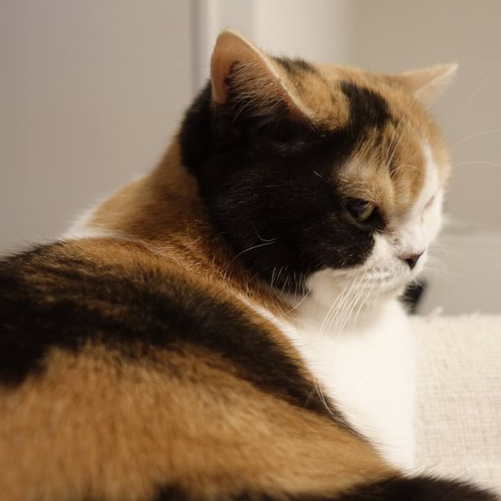 Cbb966e4 f271 4798 80ce e033ea14bbe5 1554220650719