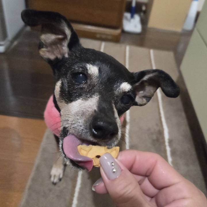 Cbb9868d 3dd8 4936 afe8 c968e5e12158 1762888026552