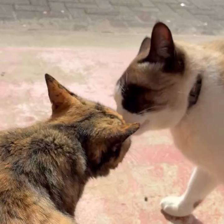 Cbb99a74 f835 4bbb 9f9f 17229adddb8a 1772622669443