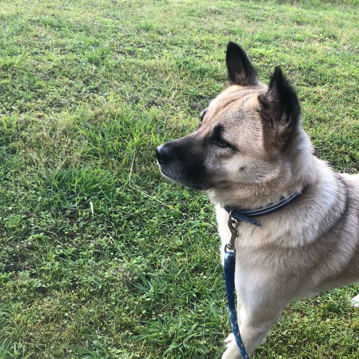 Cbb9d10a cdfb 482f 83e4 2d81951d5051 1604061483633