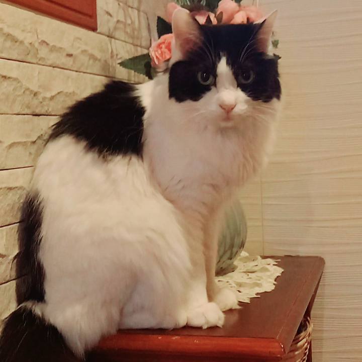 Cbb9df67 8d50 4e2a b6bb 6f72a09fce8f 1675985800823