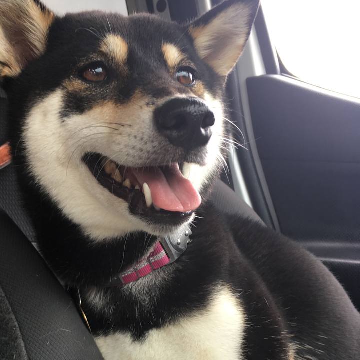 Cbb9e857 0bfc 45e7 a347 62c80e0cd2fc 1537108661921