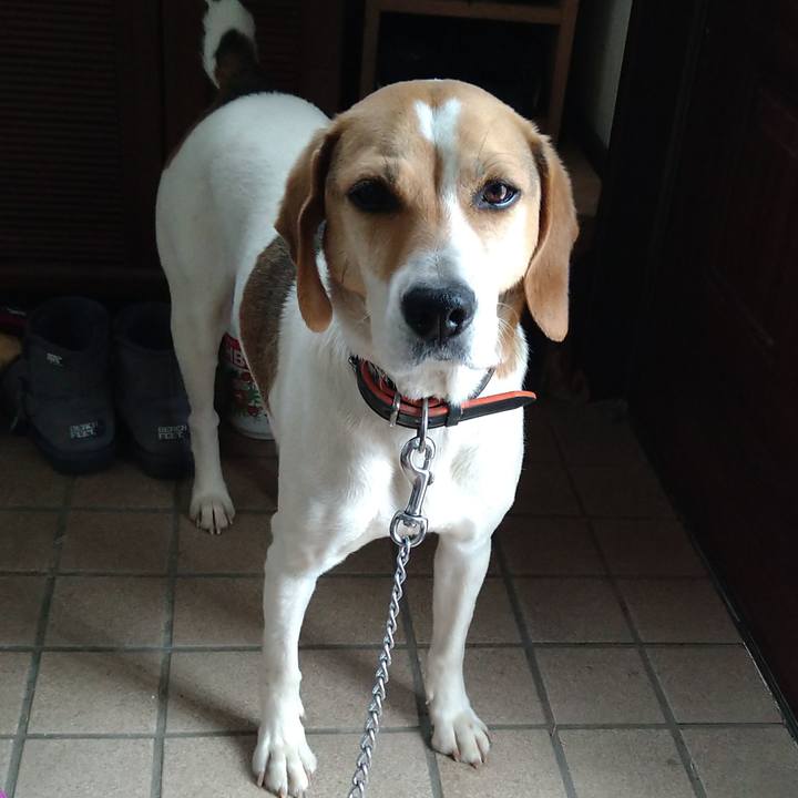 Cbb9f794 d49f 4028 a87e 6e246f063121 1622042828448