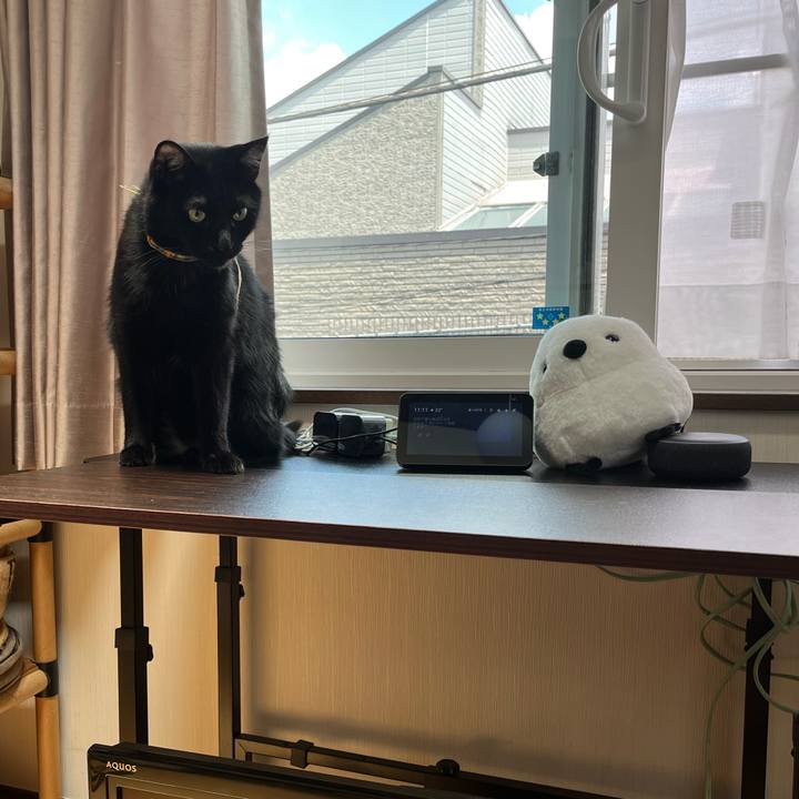 Cbba0212 f4e3 4026 9318 d7e7065ff31c 1717207928541