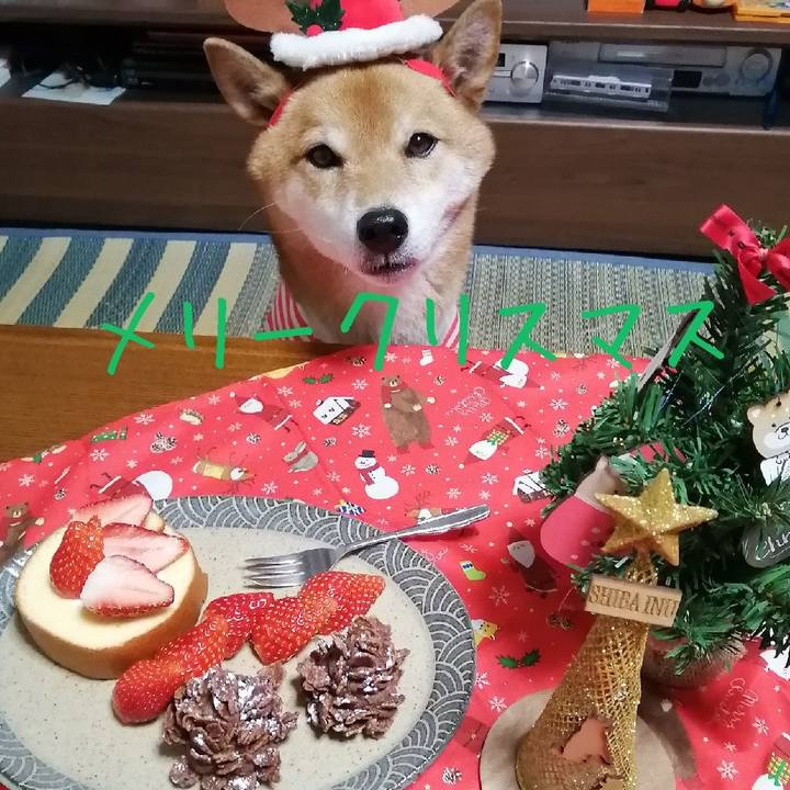 Cbba18fa 9b8c 4dfb b5af 579d74638c7b 1608803251734