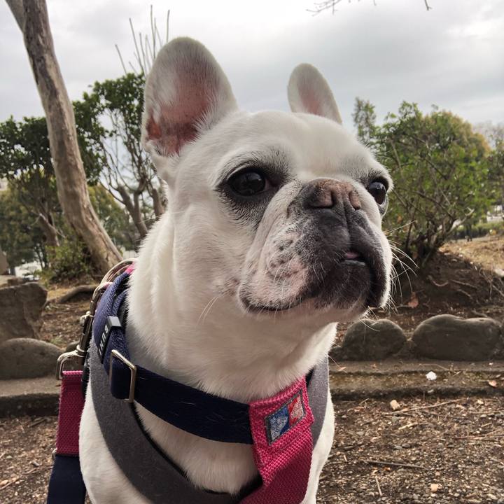 Cbba2074 e5b6 4a18 ae6c 71b15c4b3047 1616246967387