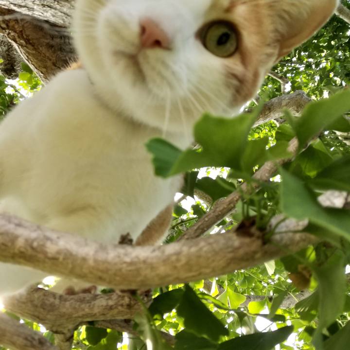 Cbba2735 38bc 412f af8c 39e4a5f761c4 1530231746336