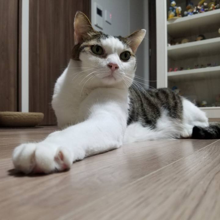 Cbba55d6 00fe 4ed2 9c59 ea86d75028ca 1616410091629