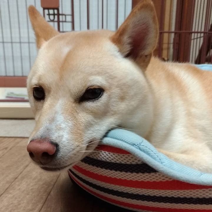 Cbba6d4e ae61 4f44 95ef f83acca5eda5 1535931546543