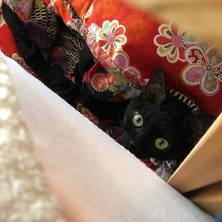 Cbbadaca a88f 46a1 b669 d89e490e73ae 1581205672040