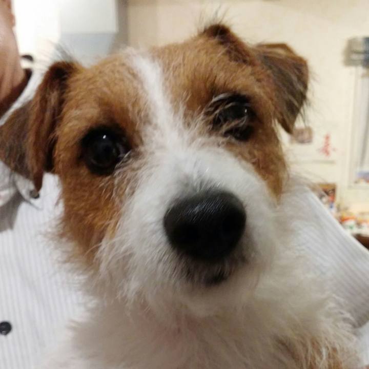 Cbbb30ca 05c1 4ef2 bf42 8cca71208a4f 1538051509298